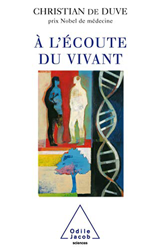 vignette